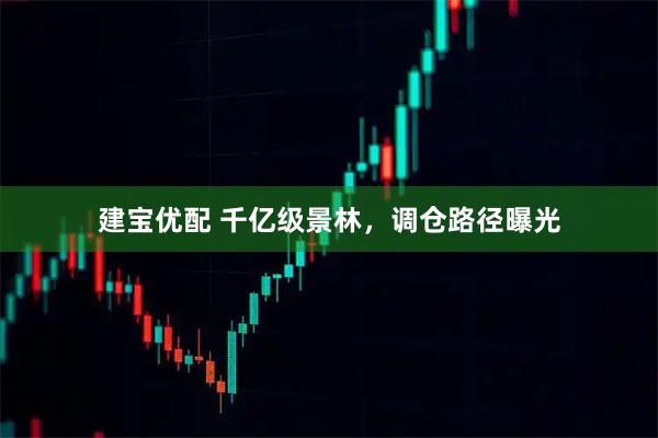 建宝优配 千亿级景林，调仓路径曝光